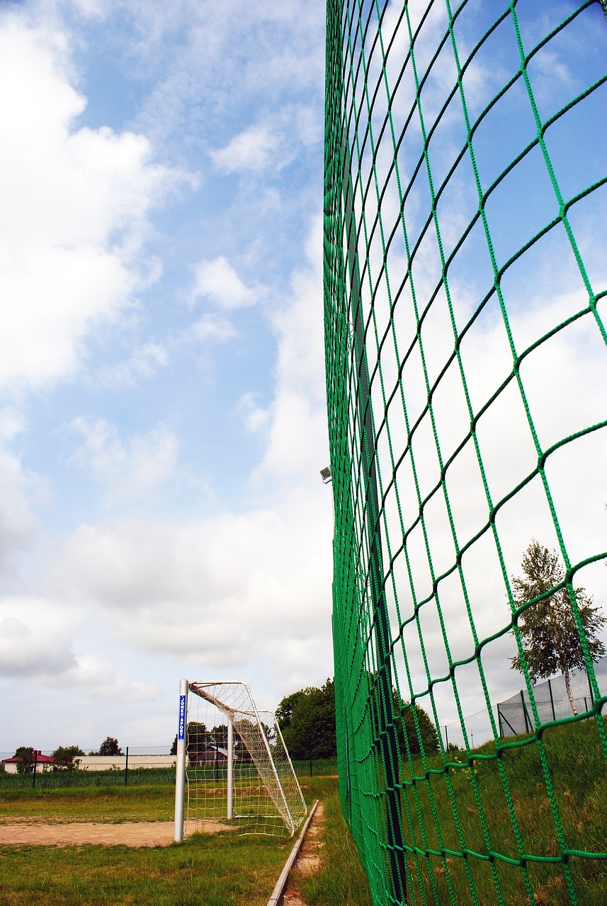 埃里克森的 埃里克森的