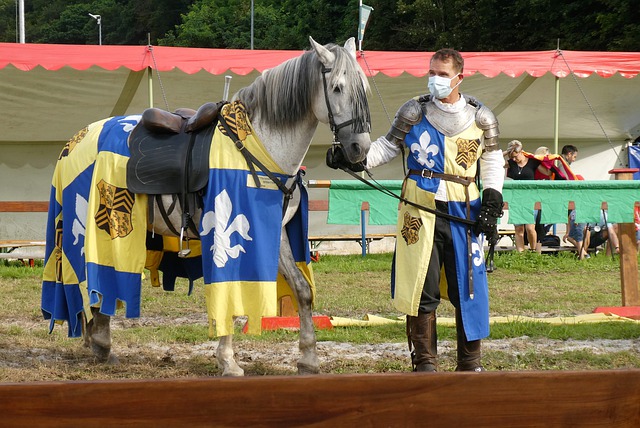 性的打法 性的打法