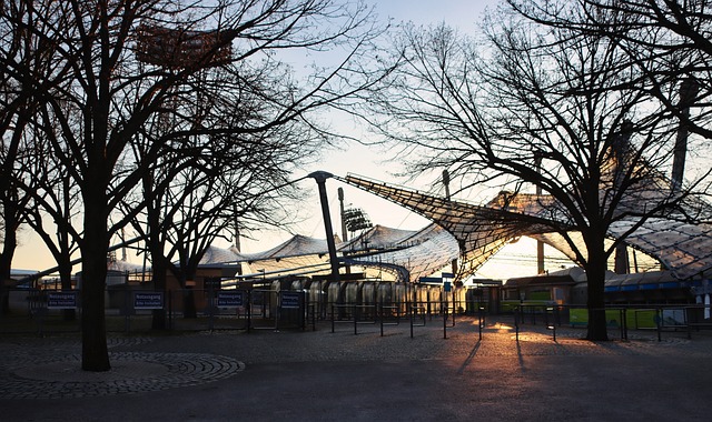 在赛后采访 在赛后采访