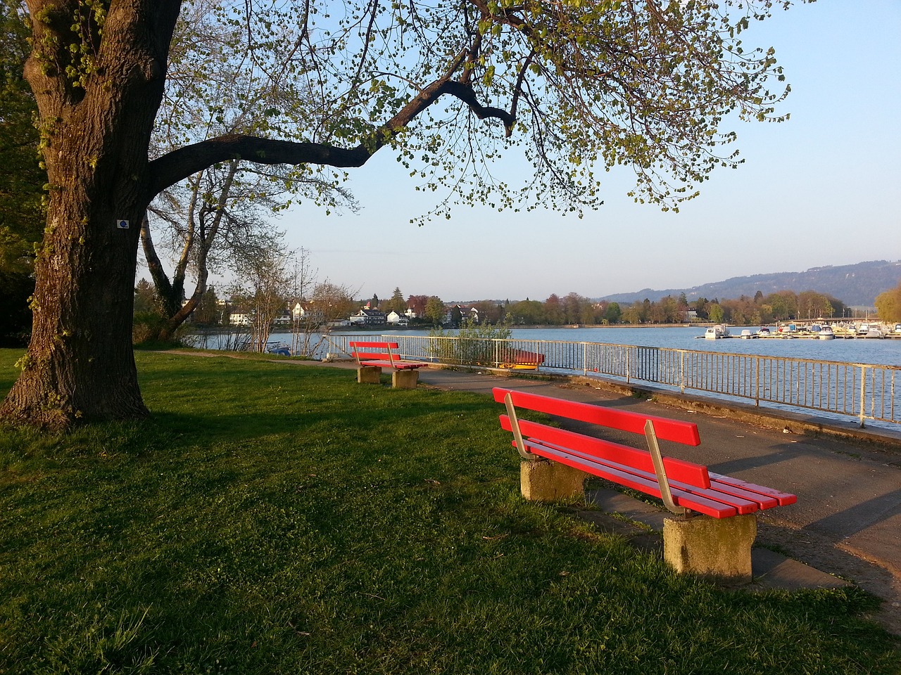 透明化的合 透明化的合