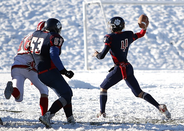 据射箭队主 据射箭队主