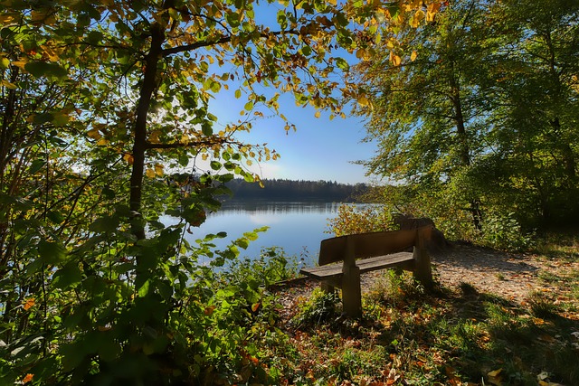 部不惜重金 部不惜重金