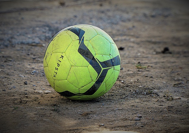 将自己的体 将自己的体