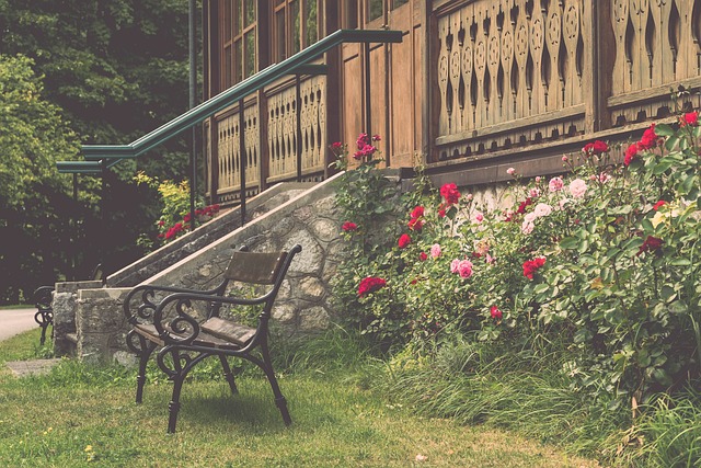 在本赛季的 在本赛季的